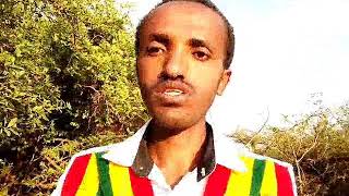 ንቁ የኢትዮጵያ ትንሳኤ መንግስት ለማየት የምትመኙ ነቅታቹ አውሬውን ተዋጉት