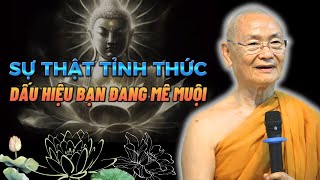 Sự Thật TỈNH THỨC - Dấu hiệu Bạn Đang Mê muội | HT. Viên Minh (Rất hay)