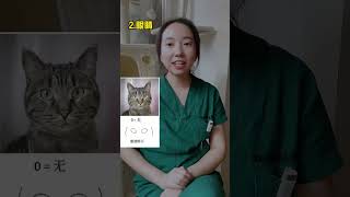 你的猫生病了！猫咪擅长隐藏痛苦，全靠铲屎官的眼睛 #铲屎官 #猫咪生病 #猫咪知识