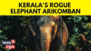 Kerala News | Kerala Elephant Arikomban | Rouge Elephant Arikomban Tranquilized | English News