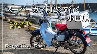 スーパーカブC125 ｜小田原へ行く！・だるま料理店と南十字　【モトブログ#11】