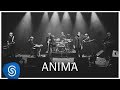 Banda Zil - Anima | Ao Vivo (Vídeo Oficial)