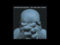 Breaking Benjamin - Firefly ( Arena Effect )