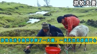 山区游牧生活，卡莉怀孕胖了一大圈，一天无忧无虑真开心《游牧夫妻》12