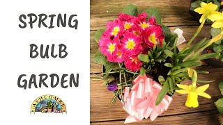 DIY Indoor Spring Bulb Garden