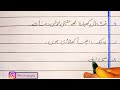 mera pasandida mashgala my favourite hobby essay in urdu 10 lines essay