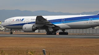 [4k]  伊丹空港・ スカイランドHARADA  全日空 JA742A 離陸　FDR-AX55