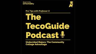 Undecided Majors: The Community College Advantage