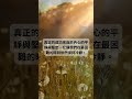 每日一句心靈雞湯 語錄分享 正能量語句 勵志名言 ep 107 shorts 勵志 每日一句 動力 心靈雞湯語錄 感情 正能量 人生 人生感悟