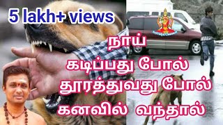 நாய் கடிப்பது போல் தூரத்துவது போல் கனவில் வந்தால் Dog dream