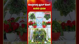 Koppal Flower Show : ಕೊಪ್ಪಳದಲ್ಲಿ ಫ್ಲವರ್​ ಶೋಗೆ ಜನರು ಫಿದಾ!