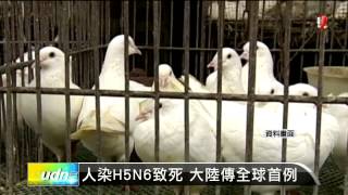 【2014.05.07】人染H5N6致死 大陸傳全球首例 -udn tv