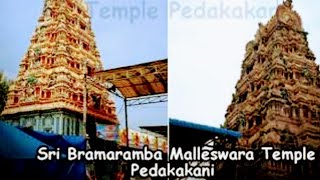 Pedakakani Temple history | Sri Bramarambha Malleswara Temple | Guntur Dis| AP Temples | TG| EP# 105