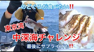 東京湾 中深場 アカムツ狙いで餌釣りとジギングチャレンジ！   #クロムツ＃中深海