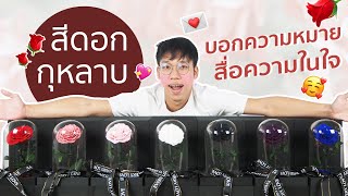 ความหมายสีดอกกุหลาบ ซื้อกุหลาบให้แฟนสีอะไรดี ? | กุหลาบในโหลแก้ว กุหลาบอมตะ | CC Eng Subtitle