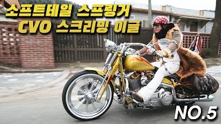 (판매완료)감사합니다 ~소프트테일 스프링거 CVO  대한민국 딱 3대! 강력한 심장과 부드러운 주행감! 희소성으로 무장한 할리데이비슨 소프트테일 스프링거를 소개합니다.