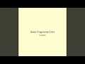 Silver Fragments Echo