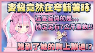 【麥醬胸部星人!?】注意看 這隻小麥真的太狠了【湊阿庫婭】【Vtuber翻譯】