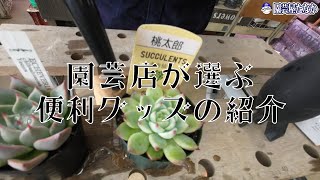 【園芸店が選ぶ便利グッズの紹介】多肉の水滴飛ばしにダイソーのエアブロアーがオススメです【園芸屋たなか】