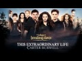 This Extraordinary Life- Carter Burwell (Breaking Dawn part 2 The Score)