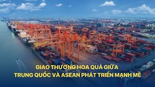 Giao thương hoa quả giữa Trung Quốc và ASEAN phát triển mạnh mẽ | VTVINDEX