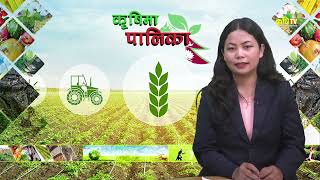 Siddhalek Gaupalika || Dhading || Premnath Silwal