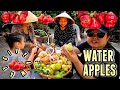 WATER APPLES (Trái Mận) MUKBANG 먹방 WITH MY FAMILY + UPDATE ON MY MOM'S EXOTIC GARDEN + HUGE GIVEAWAY