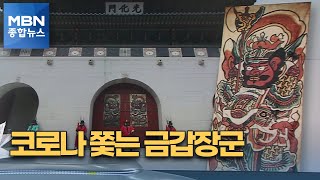 '코로나 쫓는 금갑장군' 문배도, 광화문에 걸렸다 [MBN 종합뉴스]