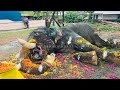 ശ്രീനിവാസൻ ചെരിയുവാൻ കാരണം ഇതാണ് kuttankulangara sreenivasan death elephant video malayalam