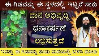 ಮನೆಯ ಈ ಸ್ಥಳದಲ್ಲಿ ಈ ಗಿಡವನ್ನು ನೆಟ್ಟರೆ ಸಾಕು ಧನಾಭಿವೃದ್ಧಿ ಧನಾಕರ್ಷಣೆ ಲಭಿಸುತ್ತೆ ನಿಮಗೆ ಗೊತ್ತಾ-vasthu plant