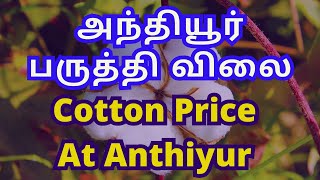 அந்தியூர் மண்டியில் பருத்தி ஏலம் | Cottona Rate At Anthiyur | Yarn Industry Must Focus This Mandi