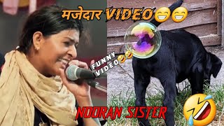 NOORAN SISTERS FUNNY VIDEO🤣 ||मज़ेदार वीडियो || nooran sisters funny song video