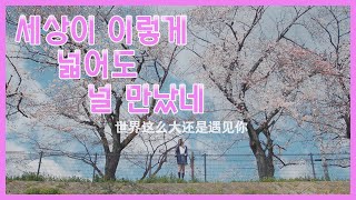 [중국노래추천] 세상이 이렇게 넓어도 널 만났네(世界这么大还是遇见你) - 정향(程响) 틱톡인기곡 뮤직비디오MV 한글가사/자막/병음 日本語訳 歌詞/字幕/ピンイン