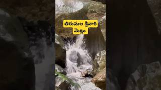 తిరుమల శ్రీవారి మెట్లు#tirupati #tirumala #srivarimetlu #vaikuntadwaram #brahmotsavalu#shorts #viral