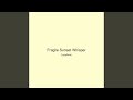 Fragile Sunset Whisper