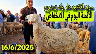 مباشرة من سوق الإثنين دار ولد زيدوح الخروف الكسابي والحولي والحولية والنعجة تاريخ 16/6/2025 وشكرا 🐑🐏