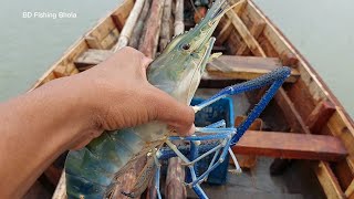 Omg | নদীর মাঝ থেকে হাফ কেজি ওজনের গলদা চিংড়ি এই প্রথম ধরলাম | Biggest Shrimp Fishing