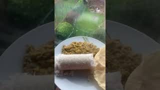 പുട്ട് പയർ പപ്പടം #puttu #payar #pappadam #food #foodlover #shorts #shortsyoutube #status #viral