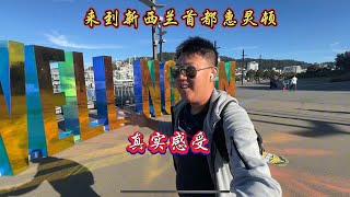 | 来到新西兰首都惠灵顿的真实感受#自驾旅行#惠灵顿