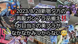 【BANDAIの再販ガンプラとコトブキヤの美プラ】2023/8/28新宿夕方の再販ガンプラ品揃え‼️お目当ての美プラがなかなかみつからない(´Д` )