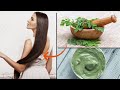 How to Make Your Hair GROW FASTER With MORINGA POWDER