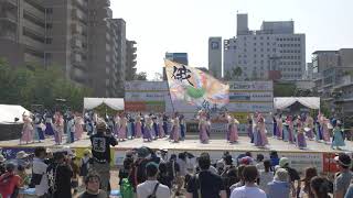 俄嘉屋  うらじゃ２０１９　下石井公園演舞場　１日目　４ｋ