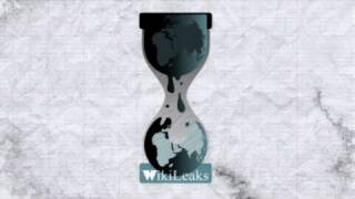 101: WikiLeaks revealed