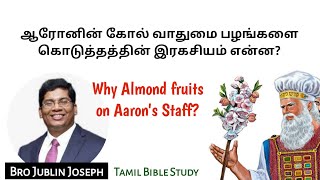 ஆரோனின் கோல் வாதுமை பழங்களை கொடுத்தது ஏன்? Why Almond fruits on Aaron's Staff? Bro Jublin Joseph