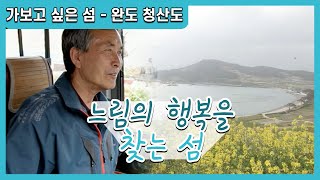 [한국의 섬] 완도 '청산도' 느림의 행복을 찾는 섬 - 서편제, 유채꽃, 청보리, 감성돔, 도다리