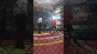 Asaka mma gladiator