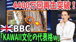 【海外の反応】海外「地球上で一番〇〇な生き物だ！」日本固有亜種に海外悶絶！→北海道にしか生息しない動物【日本のあれこれ】