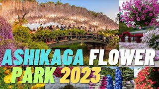 Ashikaga Flower Park Japan Tour 2023