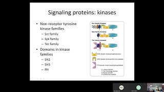 09 Immunology: Immune Receptors and Signal Transduction (Raje)