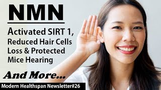 NMN Prevents Hearing Loss | SIRT6 Extends Lifespan 30% | Resveratrol Improves Aging Brain | NS#26